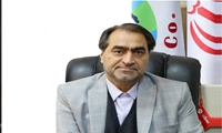 شرایط تولید و عرضه محصولات پروتئینی مناسب است